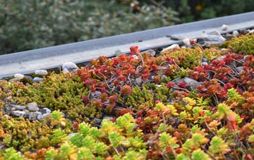 the cost of New Moston green roof installation